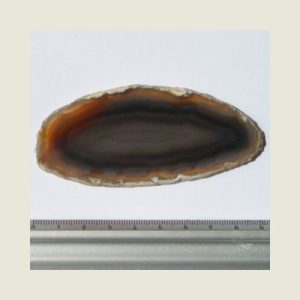 Agaat schijf