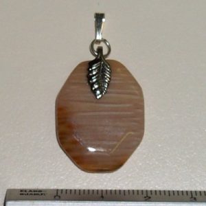 Versteend hout hangertje