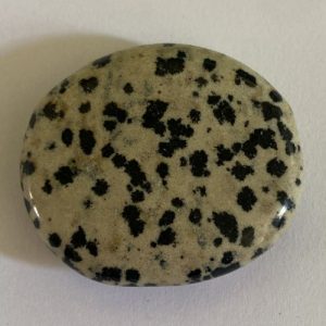 Jaspis Dalmatiër broekzaksteen