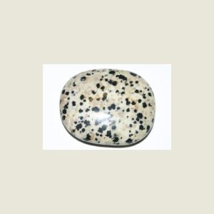 Jaspis Dalmatiër broekzaksteen